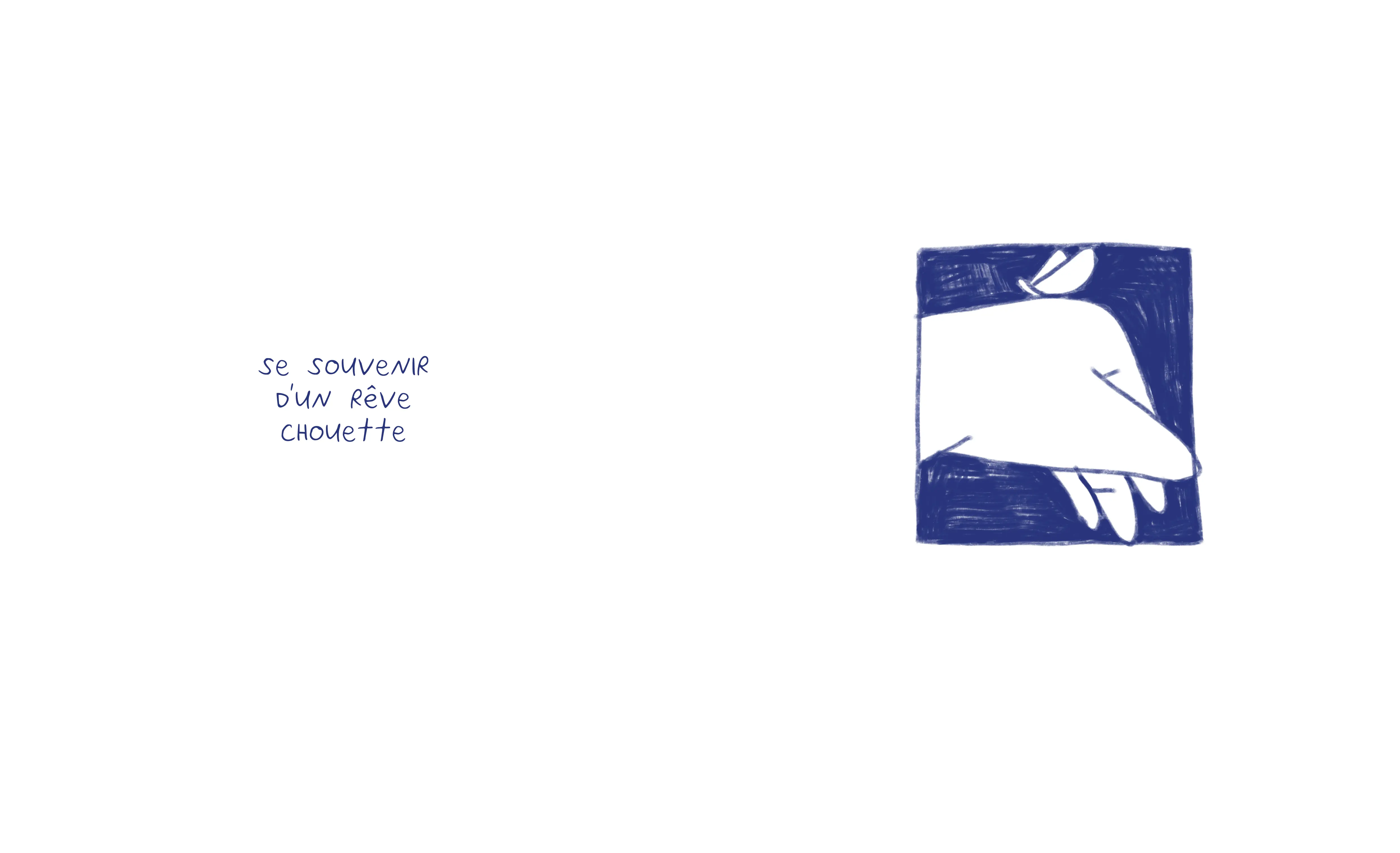 se souvenir d un reve chouette