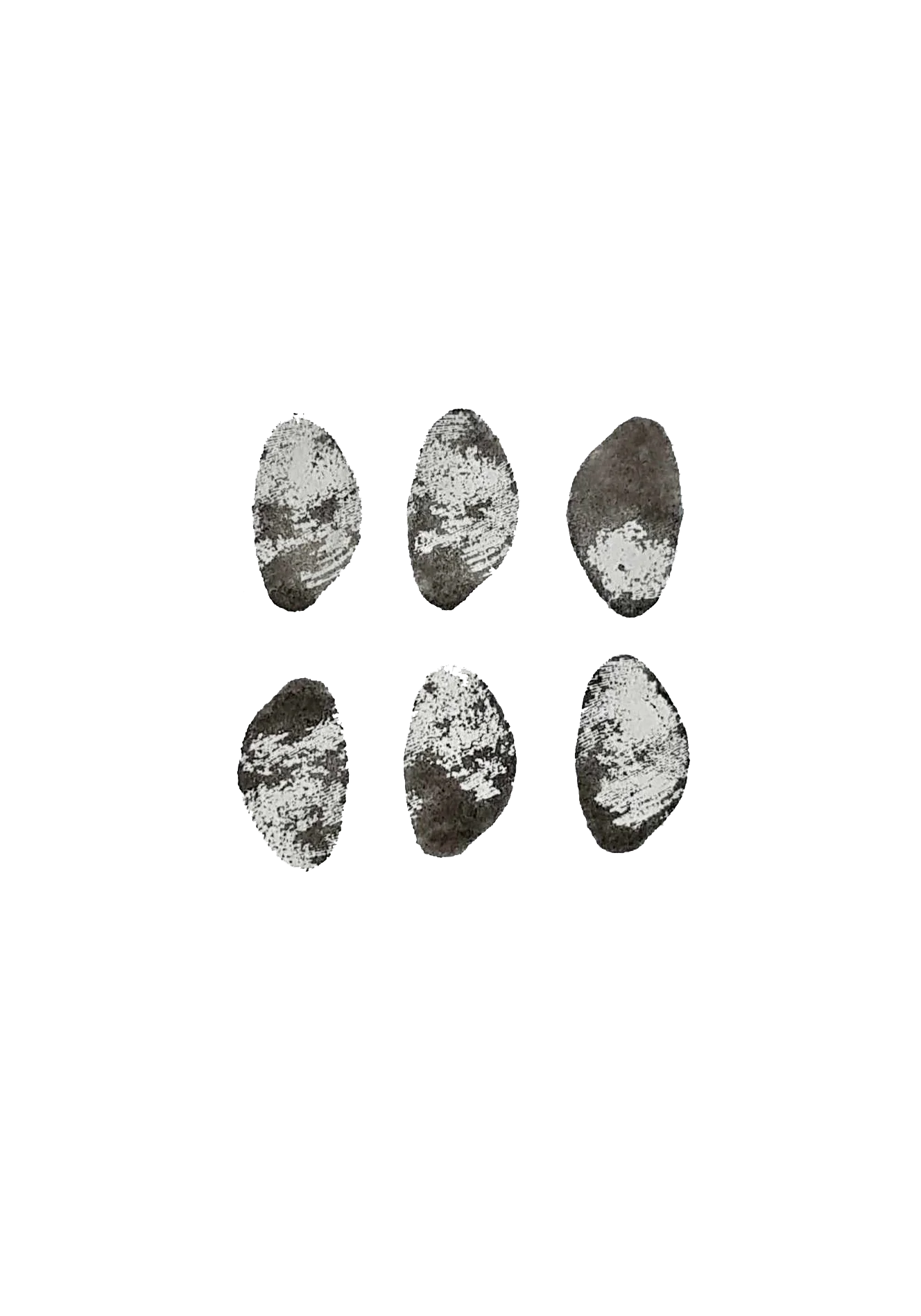 six cailloux identiques