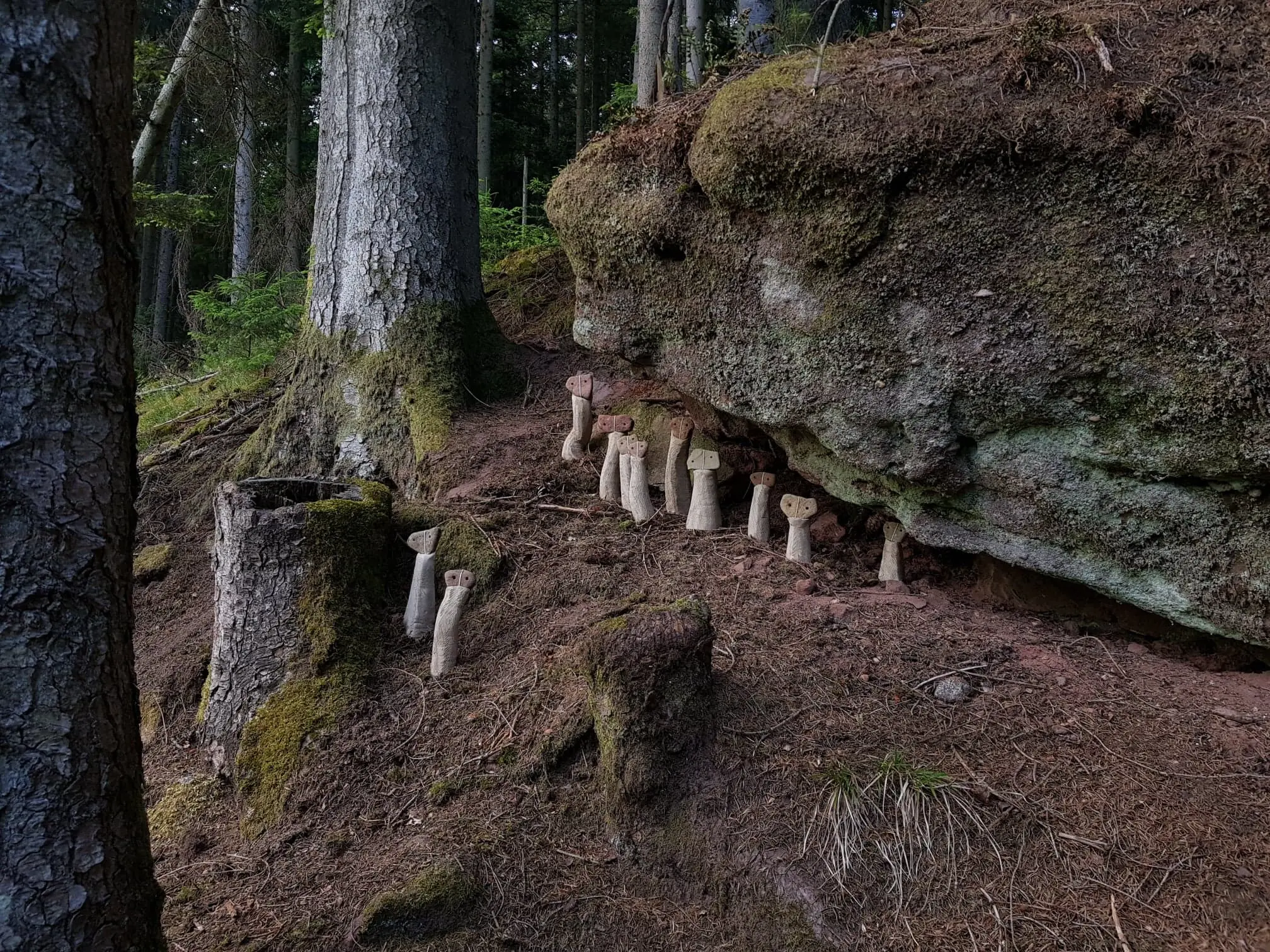 deux kodamas ont décidé d'explorer le vaste monde