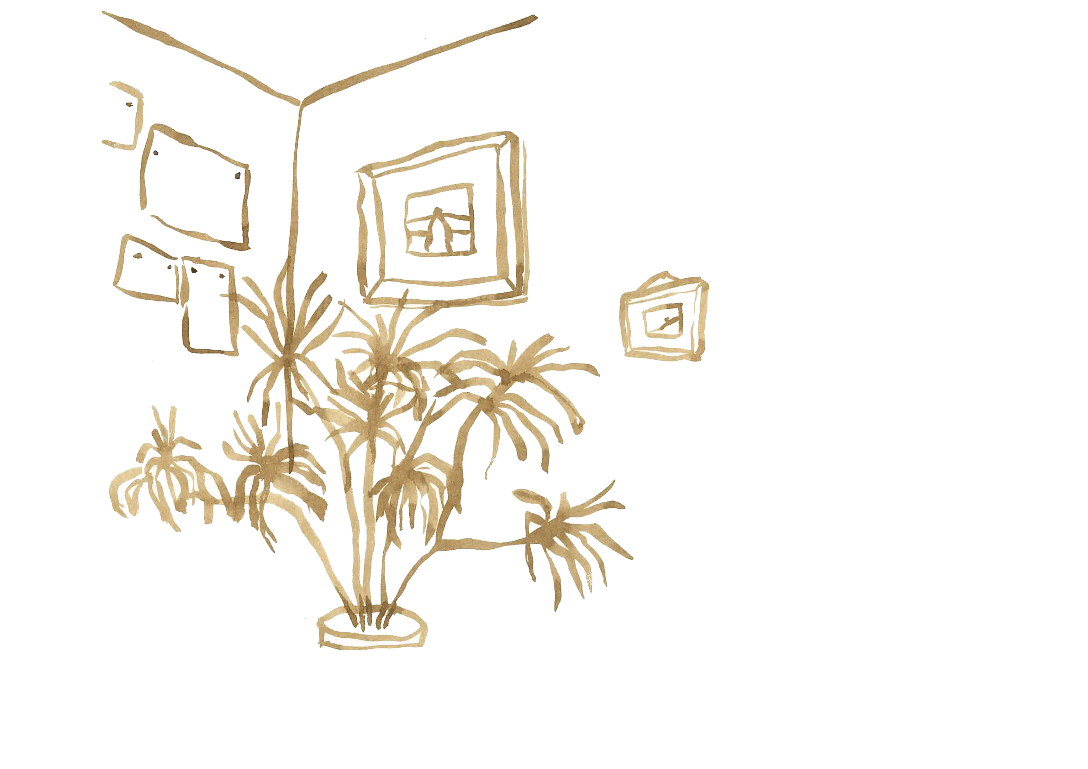 mon palmier dans un coin de l appartement