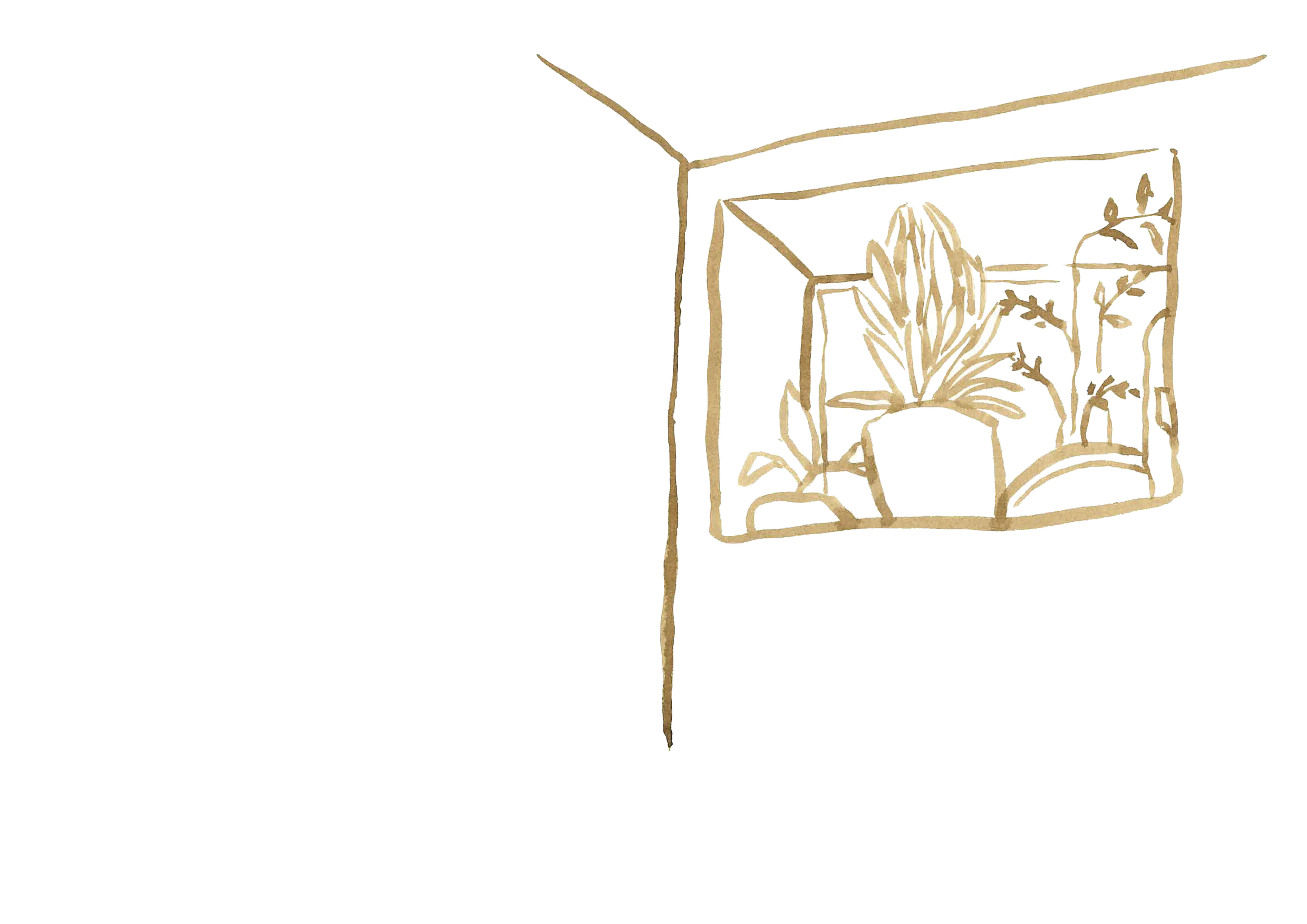 le pot de fleur sur le rebord de la fenêtre