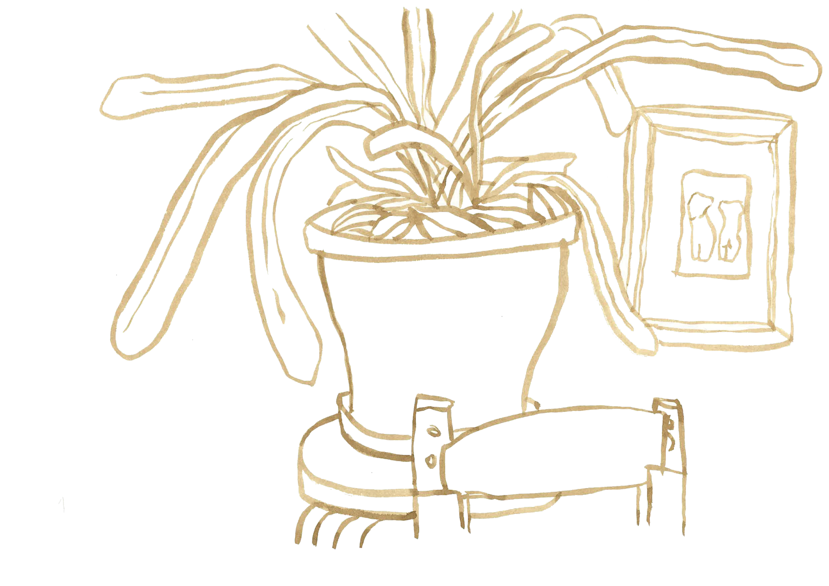 pot de fleur sur la petite table